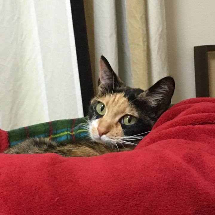 Eac30aff d678 438f 8cbb 269d540e12fe