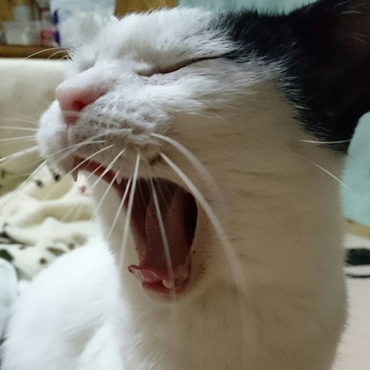 Eac3443b 558a 49b4 92ae 3078da078068