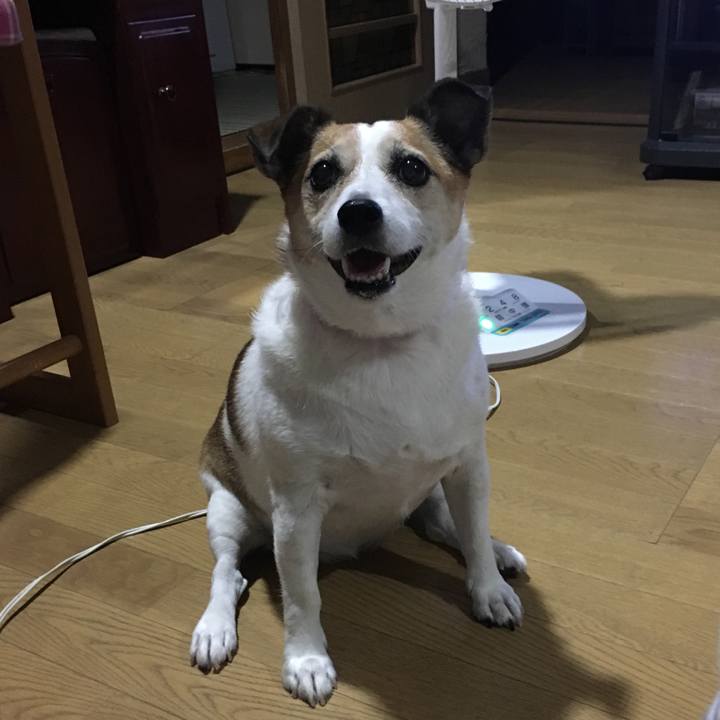 Eac358c6 082f 45c1 9026 d5bff6e0637b