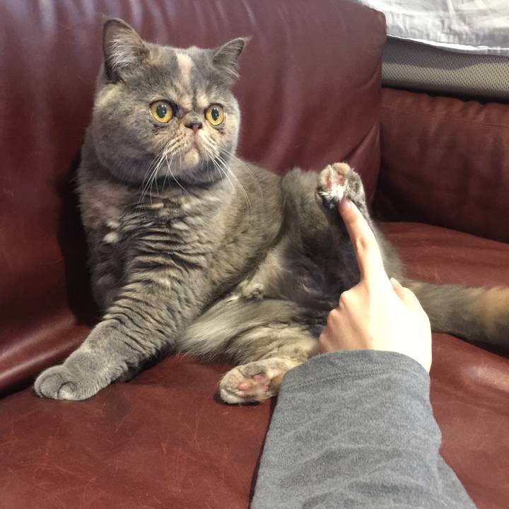 Eac39e33 0388 4019 a56d 6342706d876f