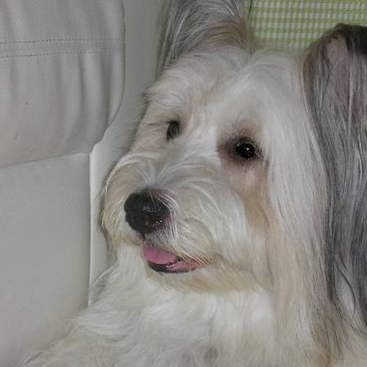 Eac3aad4 b7db 46be a803 6cb989f2079e