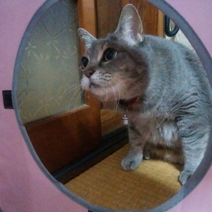 Eac46b30 9c1b 4286 a4d6 21d588f8bb20