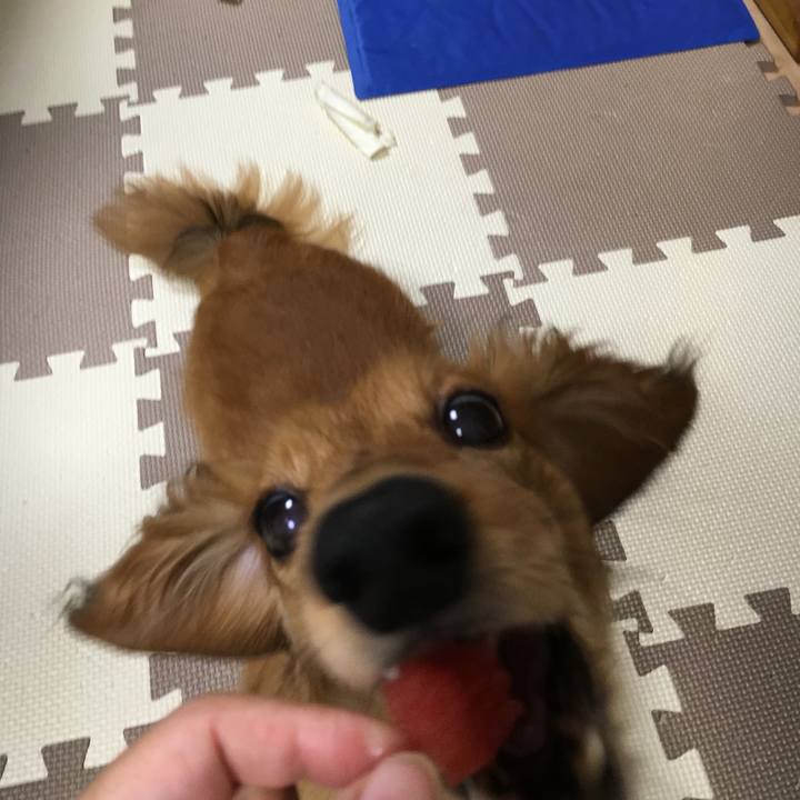 Eac47d2d a1db 4244 b329 e03ad7be880c