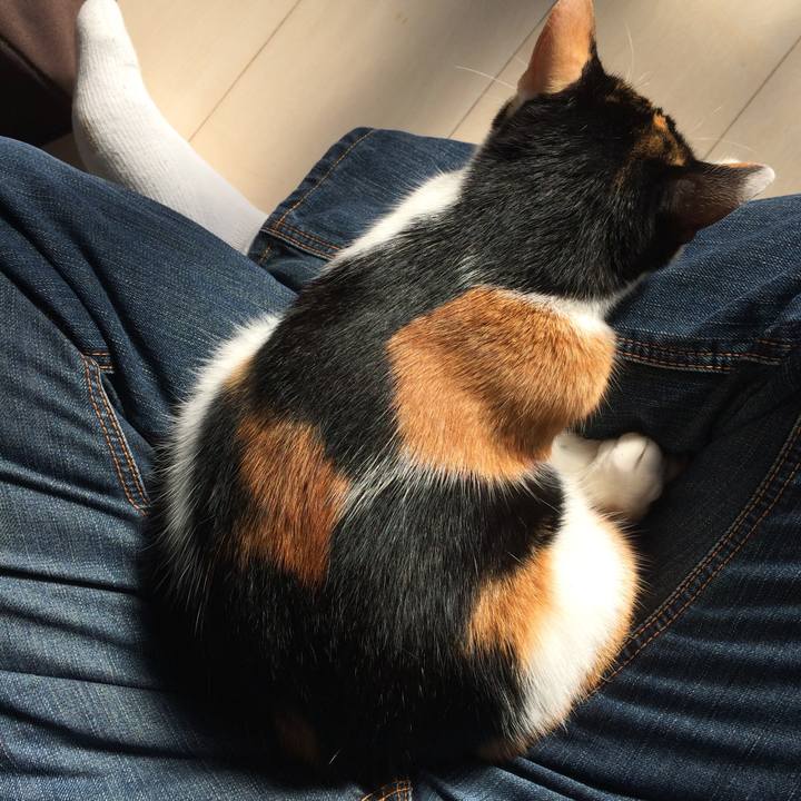 Eac506a2 64a0 4ade b946 c587cbe7b4ed