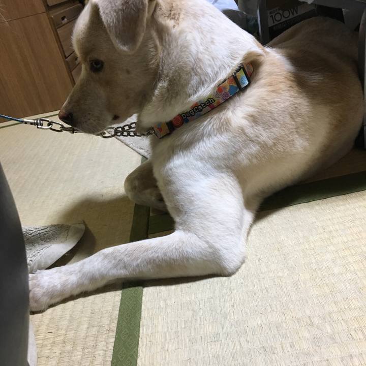 Eac55f83 1710 4b85 8538 2c00692f48e1