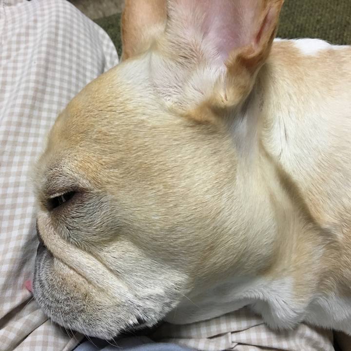 Eac78a61 824f 4090 836d 87515936dc82