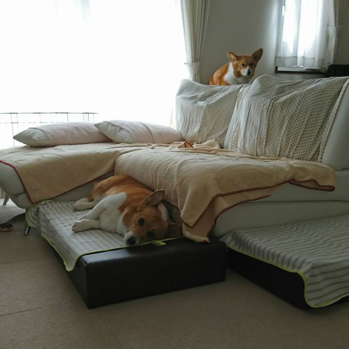 Eac797da 57d3 453e 89f5 44367552a802