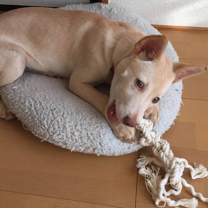 Eac7a677 d920 4b56 bad9 4820111351f1