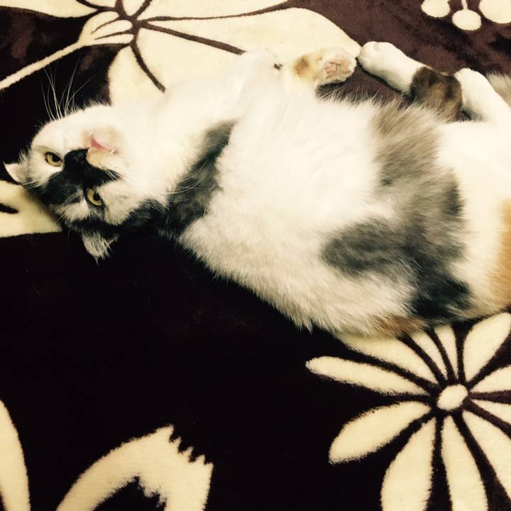 Eac8144c a2ac 4166 91e8 bc698f46924c