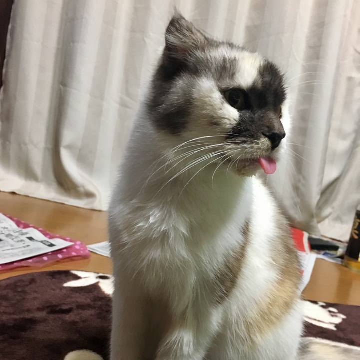 Eac81717 f129 40af 9c63 b2a39198796f