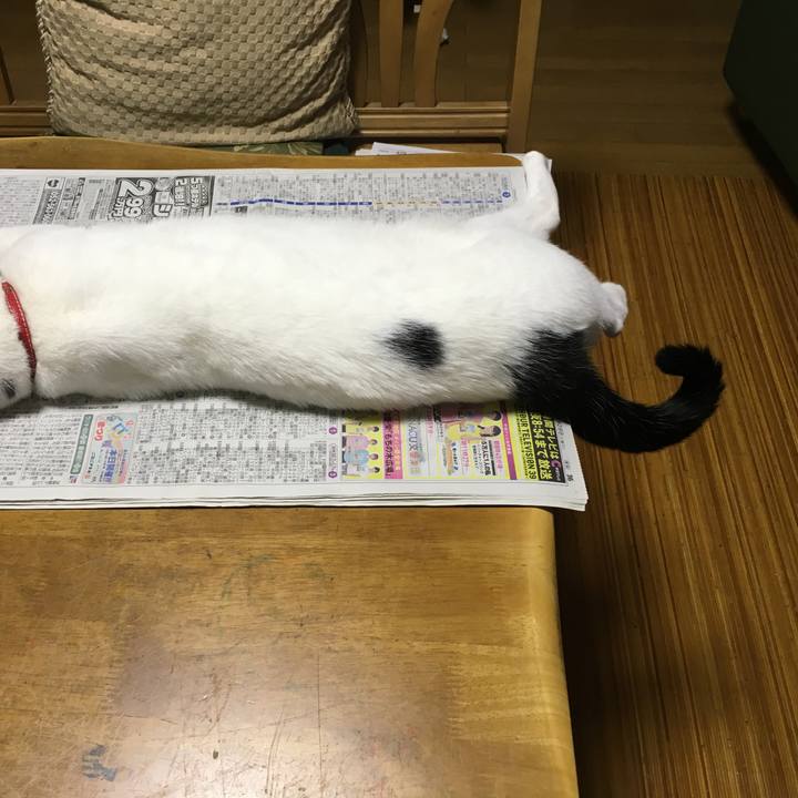 Eac857a3 fd29 4359 aba1 2fd606591d7d