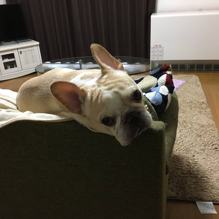 Eac8f86c b229 41ff 864b 337aa64ab8b9