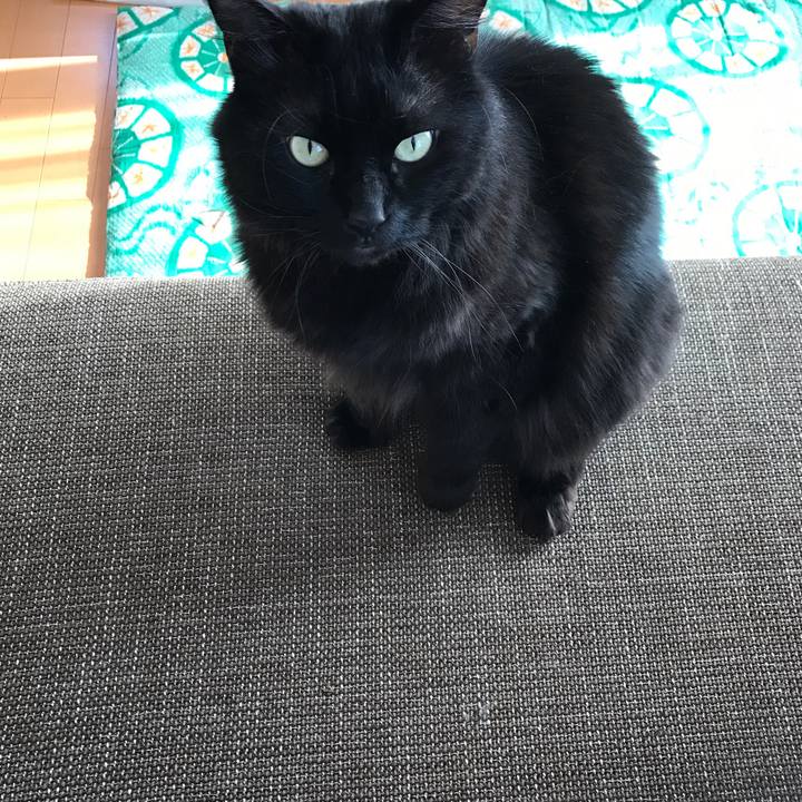 Eac9c617 6123 40fc 91a8 aae745acd721