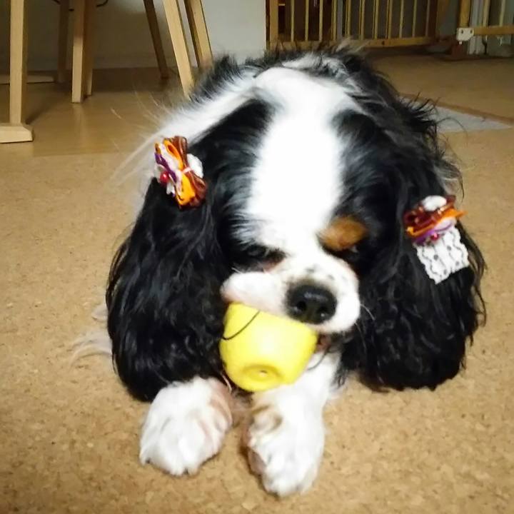 Eac9fd6c 7146 4d61 9697 f345ad8e3820