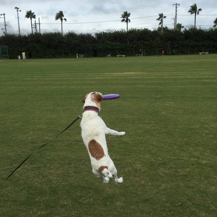 Eaca8a91 f5c2 4482 bd1b 8e6e1fb2077f