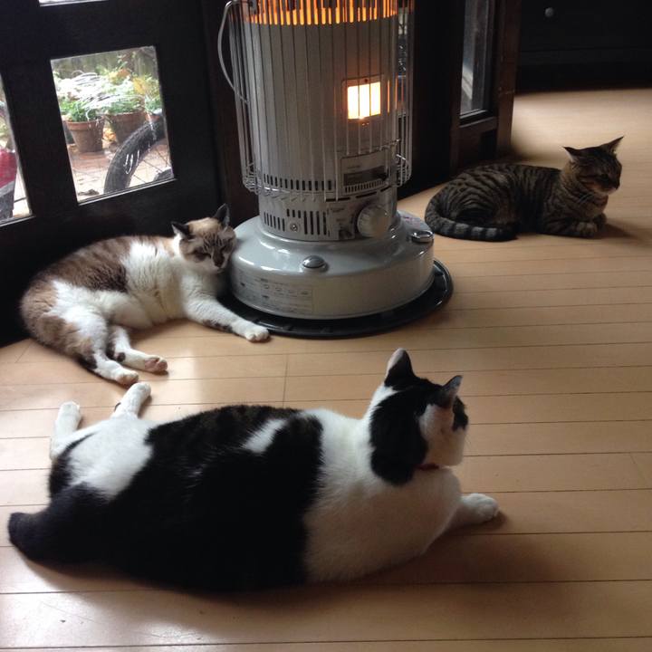 Eaca8f4e aba8 403a b6ea 2a4e1291a8ec