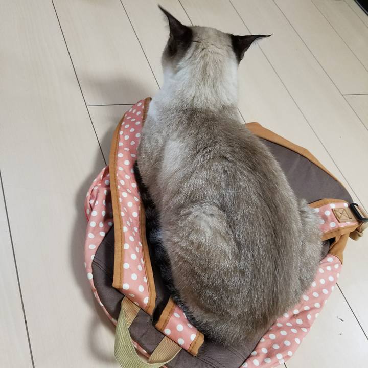 Eacaf330 5c14 43e6 a2d3 616ba2fe44d7