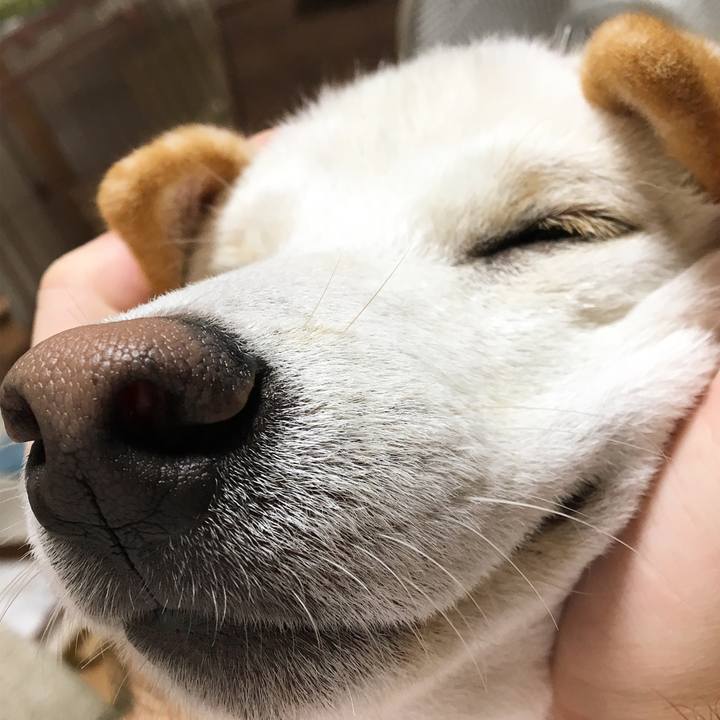 Eacb8efb 79fe 47ea b25c bf6d327f73f1