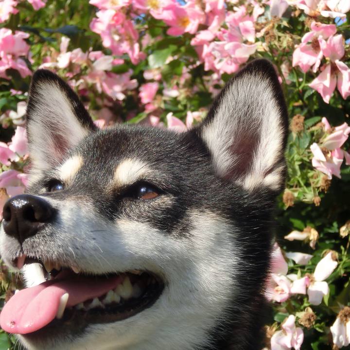 Eacc04dc 516f 4a0c 8189 2f54ab85c3d1