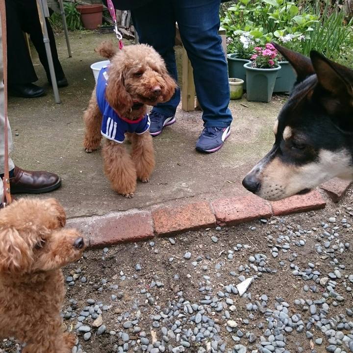 Eacc1439 89f2 450a 8fa6 92035e2c357d