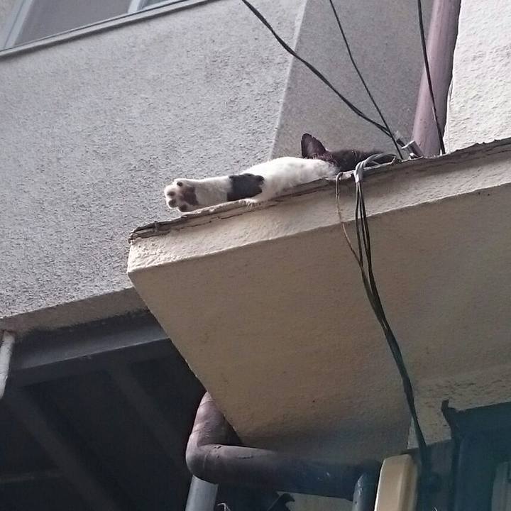 Eaccd875 7c8b 448d b7ae 43fa05a72f5a