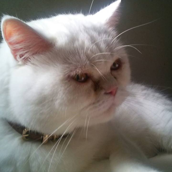 Eacd5a63 7102 4c2d 9a8a d685451d47a5