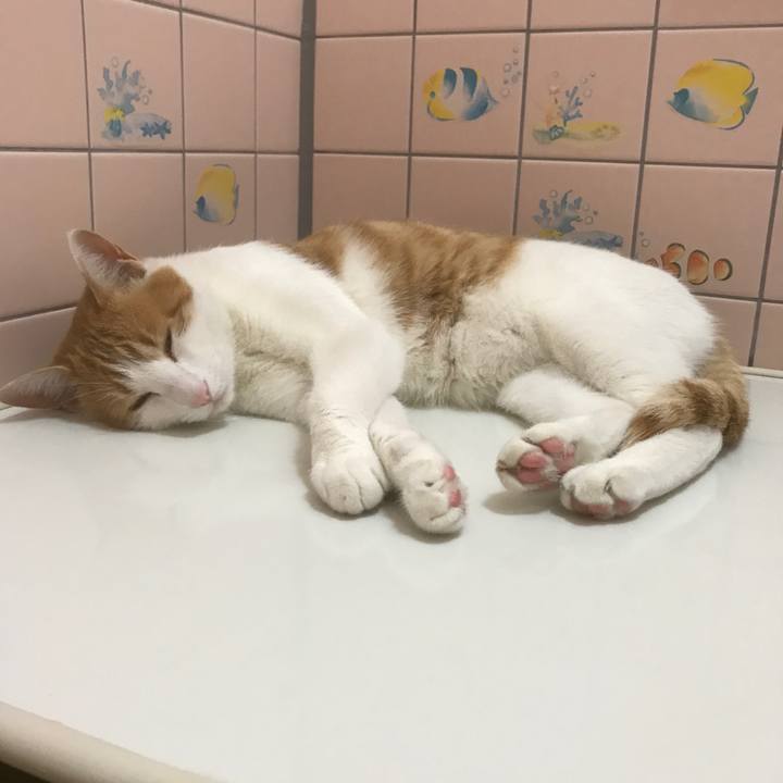 Eacdbe39 7142 4e4f 811e e1797f1bc9f8