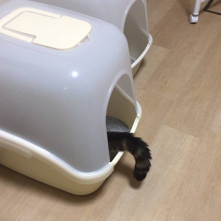 Eacdcc39 96d6 4ec4 9ad2 6dadede231db