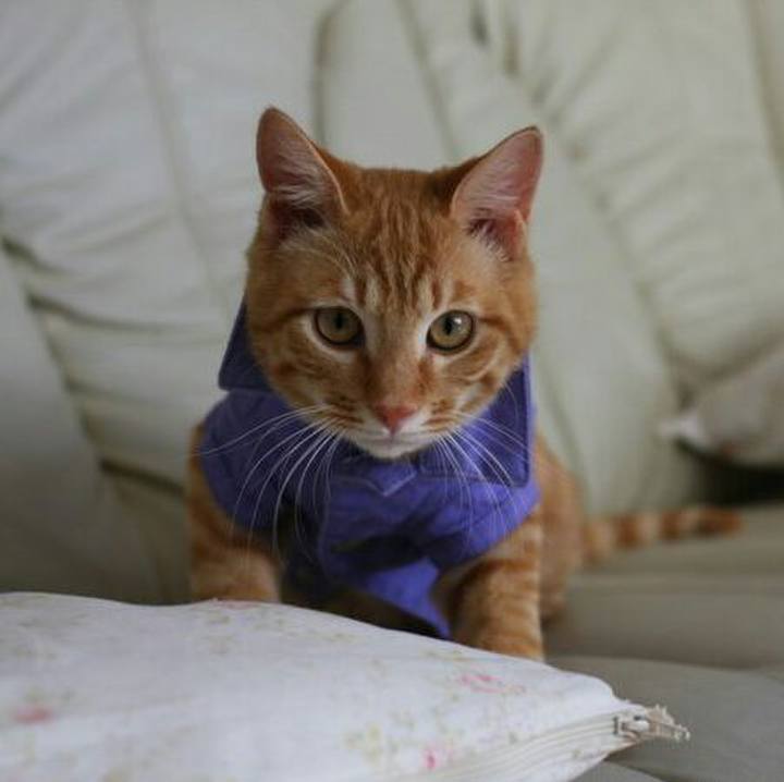 Eacdf53b b2b5 463c b874 397b0e25b0b1