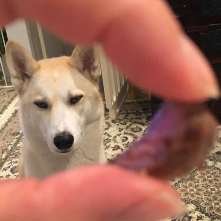 Eacdfd49 2416 47a9 8861 09b144b52440