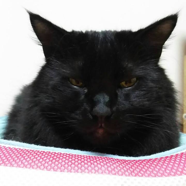 Eace5d76 57d2 4722 b186 8ebc3ae616cf