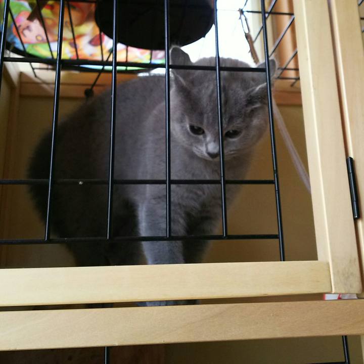 Eace7f9f 1935 401e b5ac 89f05afaadeb