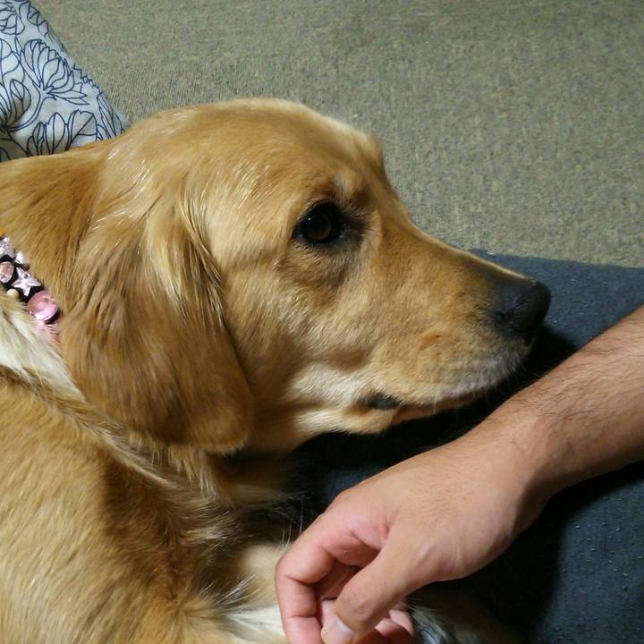 Eacff9b6 c12a 49c8 a219 7fafc80ec070