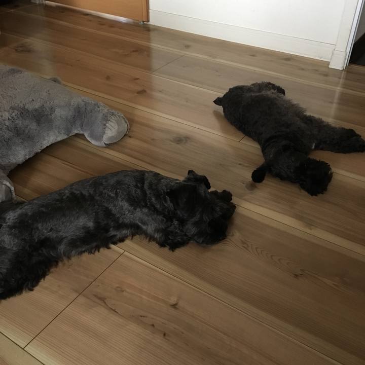 Ead0f486 8199 4b5c 9a0a 97fb76db8ac8