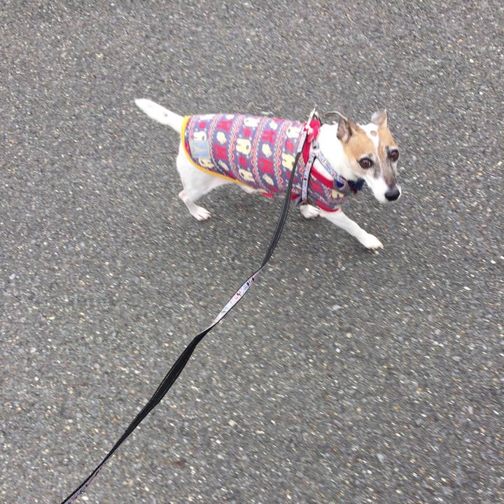 Ead10d9a d37a 4564 b965 0bc70a6c7a71