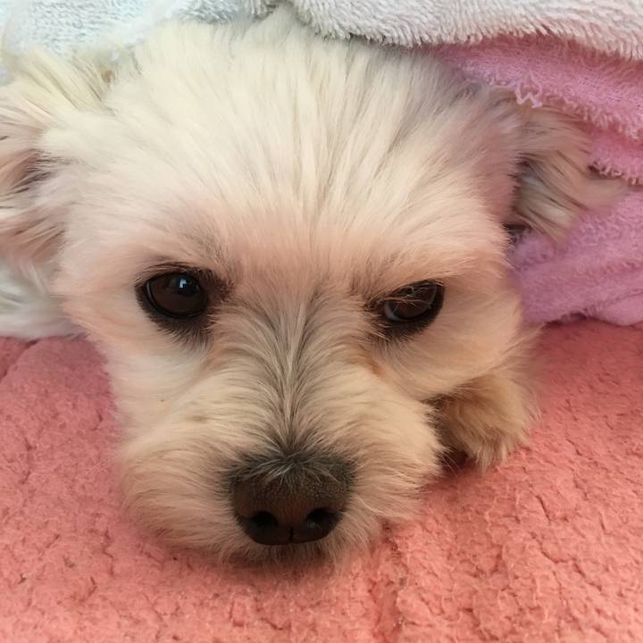 Ead181cc 4a3e 4f23 8f3f ea82502b204e