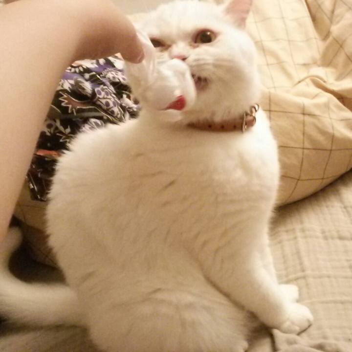 Ead1ed32 9216 4351 abf0 2cb561974d10