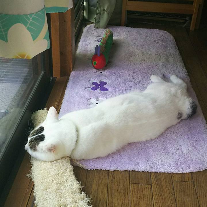 Ead320dd b753 41eb 898a 054c3cb48e12