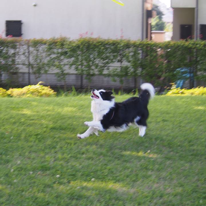 Ead36dfb 59a9 4dc3 aedb 7043caa4e90a