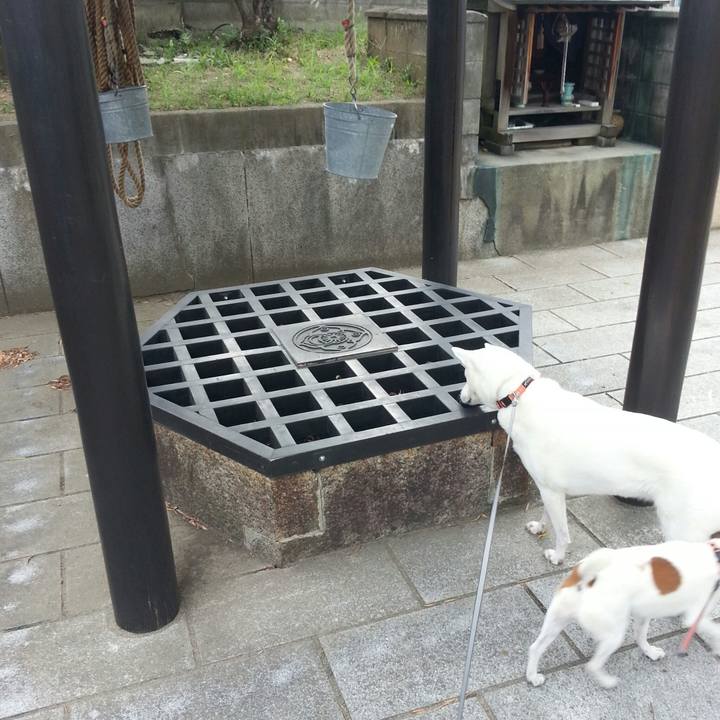 Ead3de7e fde0 4952 b0fd 98ed03620d8a