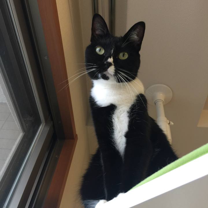 Ead43084 c92e 4ab3 943e 90eb043781a1