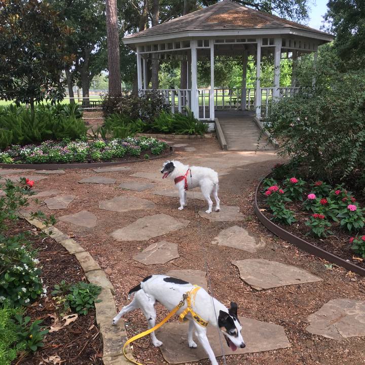 Ead43e2f f36f 4e26 b792 32b4d3f6314e