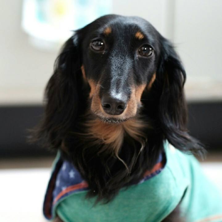 Ead4965c 182a 4340 9371 fb0218969fbe