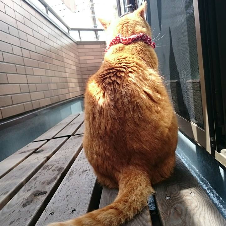 Ead577b2 17ad 42d6 b352 0a464e9468a3