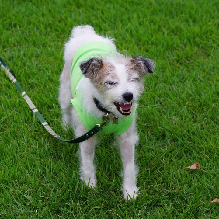 Ead5cdca 09d7 4456 8c6c 1cd877466d63