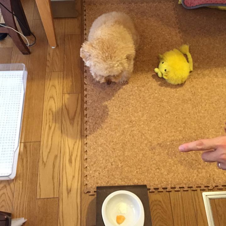 Ead6de5d 6ac9 43e1 a877 bbba9fa81ccc