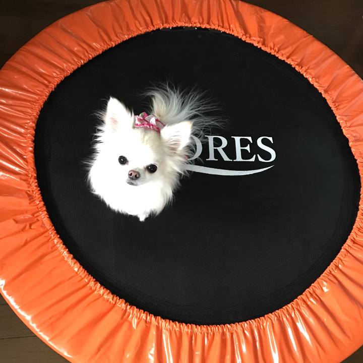 Ead6ea97 9e40 4305 b4bc e088fb04b7a0