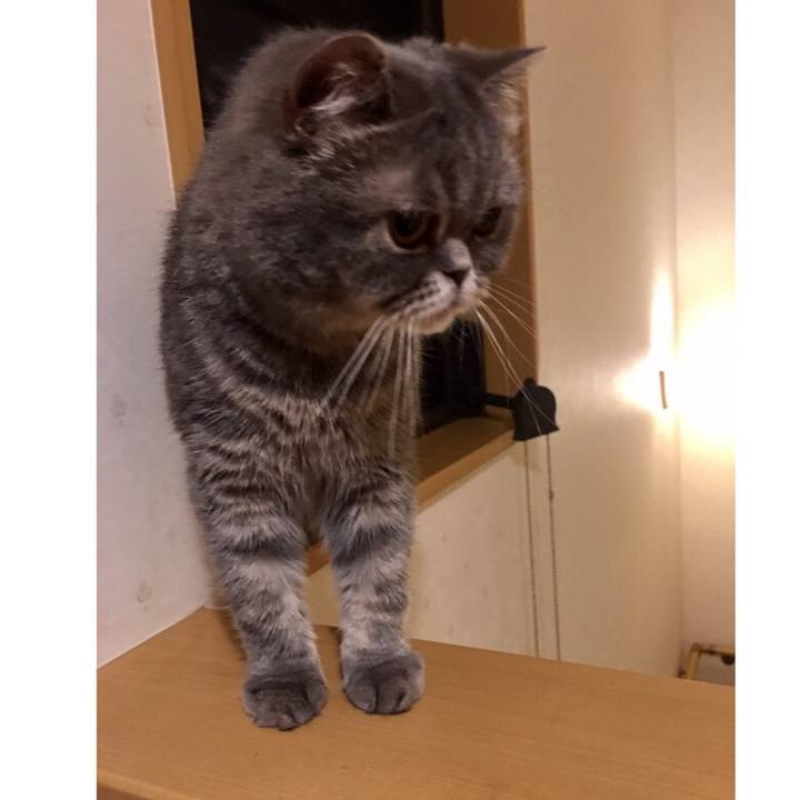 Ead72645 a76b 4acc b0f8 bc9fd084dc8d