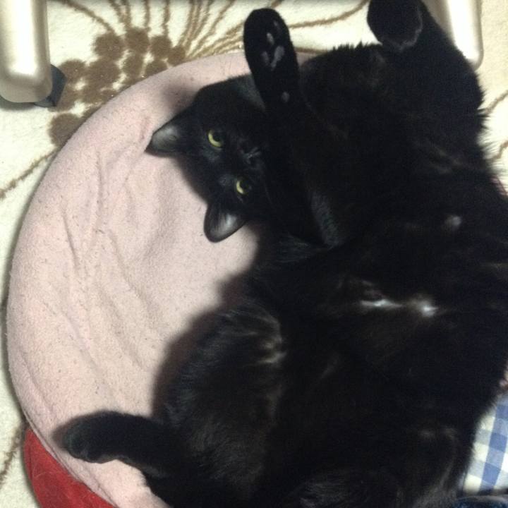 Ead754d1 13bb 48cd 9c55 f06bc83de2a9