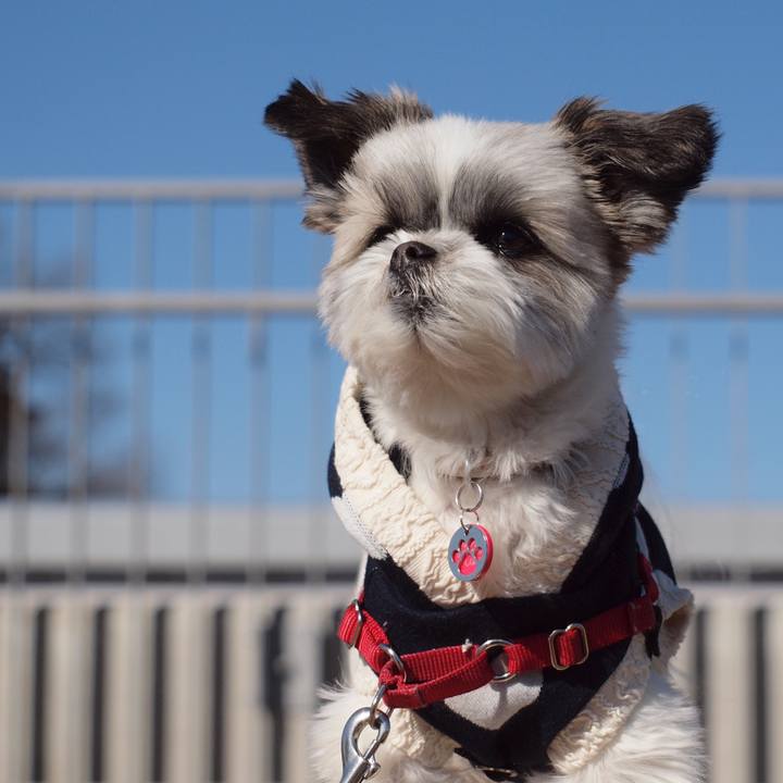 Ead77a08 b4b3 4c56 8943 686eece0cbda